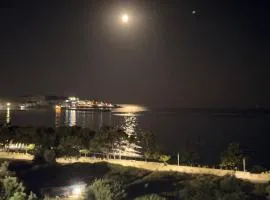 XIO Apartments