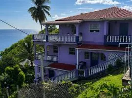 New-build Oceanview Saint George's Apartment Near Beaches