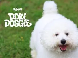 DokiDoggie油壺globe