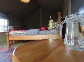 Giraff maasai mara home stay&safaris