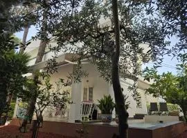 Villa Dyrrahu with Pool & Sea Access