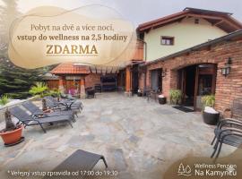 Wellness Penzion Na Kamyncu – hotel w Jabłonkowie