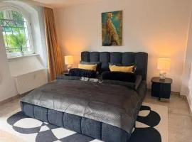 Top Premium 250qm Villa Historica EG Wohnung Garten, Dart, Tischkicker, Parkplatz, free Wifi