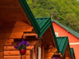 Dedushi Guesthouse &Wood cabins-Camping place