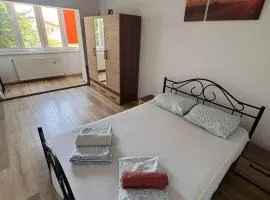 Hunedoara Central Stay