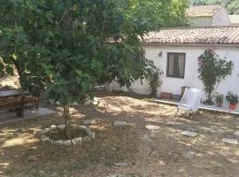 The Garden House