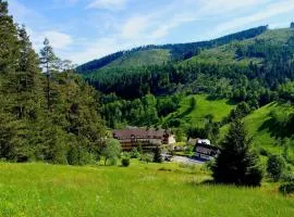 Tanne Tonbach - Wellness & Wohlfühl Hotel