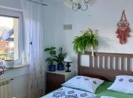 Agroturystyka Pod Modrzewiem - Babia Góra