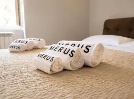 Merus