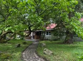 The Cottages - Pet Friendly