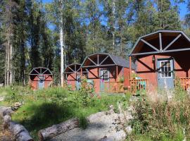 DFA Cabin Rentals, hotel Talkeetnában