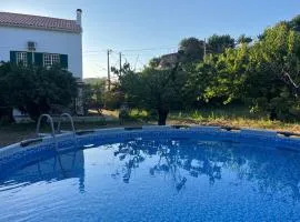 Miraculous Jungle Guest House, Quinta em atividade