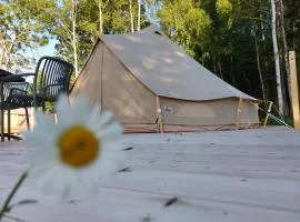 Glamping Tolvsbo Inn
