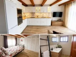 casa moni 2