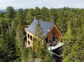 Chalet OSLO
