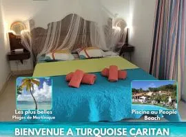 Turquoise Caritan