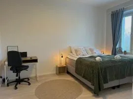 Condo Finlandia - in the heart of high culture