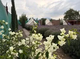 Glamping Rincón de Lavanda