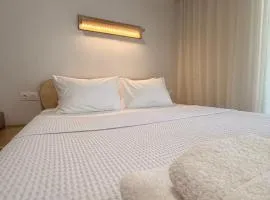 Aurora Suite