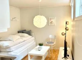 Bright and cozy studio - newly renovated bathroom and free parking