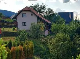 Kuća za odmor Ravna planina