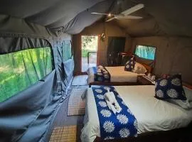 Utshwayelo Kosi Bay Mouth Lodge & Camp