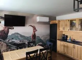 Apartamenty u Mocarnego