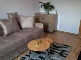 Cazare Apartament