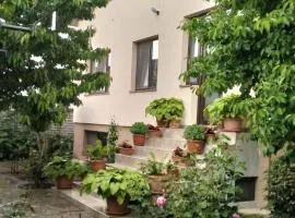 Vila Aurora