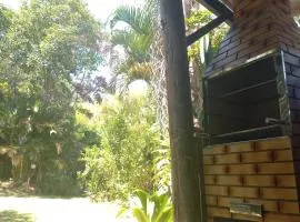 Camping na mata céu Iluminado 232