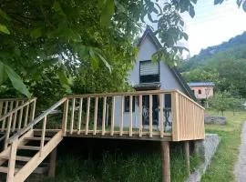 Ali's House