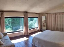 Ellera suite Country Barn in Lucca olive Grove