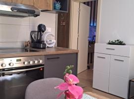 Apartman Brankovic, hotel di Jagodina