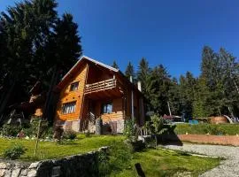 Cabana Apuseni N&D