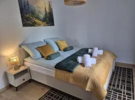 Apartament Góral