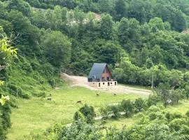 Hidden gem by the stream