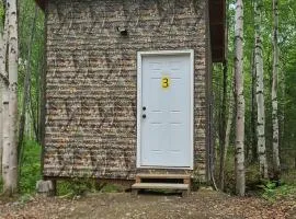 Bears Den Cabin #3