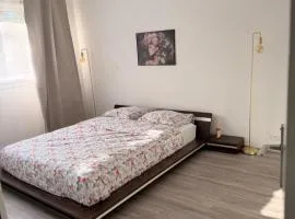 Lumineux T2 cosy Jardin des Plantes et parking privé gratuit