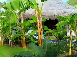 Mandala House - Kite Village