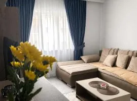 Borșa ApartHotel 4