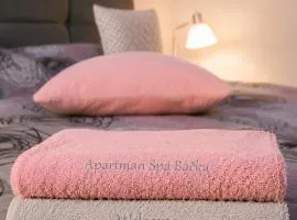 Apartman Spa Bačka