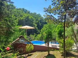 Forest Oasis Slatina
