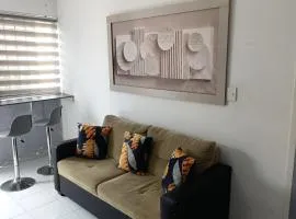 Práctico y céntrico departamento