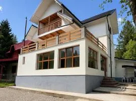 Cheita 305