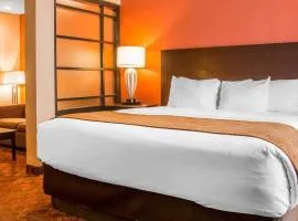 Comfort Inn & Suites and Conference Center