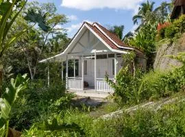 JoeWell Cabin