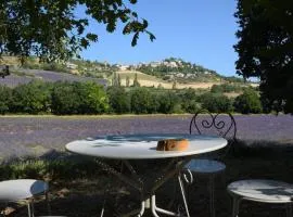La Bergerie en Provence