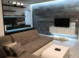 Cozy apartment with garden