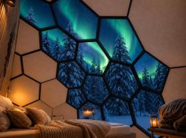 SKOG Aurora Glass Igloos, מלון בקאליקס
