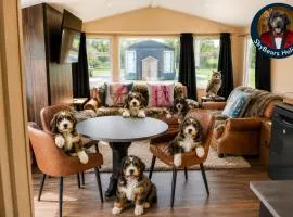 Sheepy Lodge by SkyBears Holidays - Puppy Lounge, Arcades, Games room
